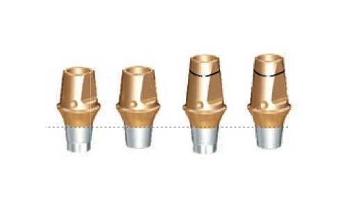 Cemented Abutment(II)
